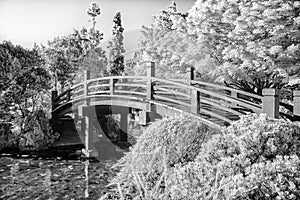 Japanese Footbridge Over Pond in Black and White