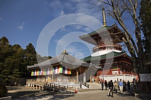 Japanese and foreigner traveler visit praying in Daitou or Great pagoda of Naritasan Shinshoji Temple at Chiba in Tokyo, Japan