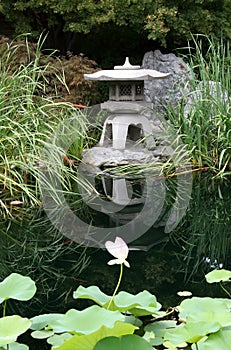 Japanese Garden