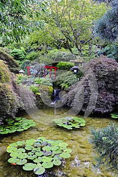 Japonés jardín 