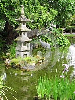 Japanese garden
