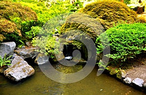 Japanese garden