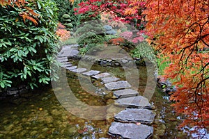 Japanese garden