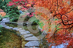 Japanese garden