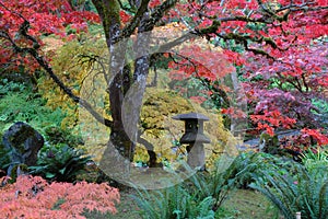 Japanese garden