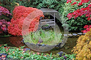 Japanese garden