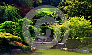 Japonés jardín 