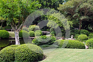 Japanese garden photo