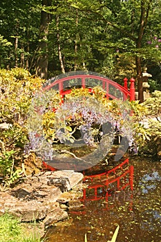 Japanese Garden