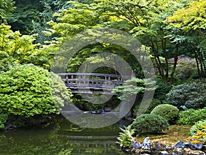 Japanese garden