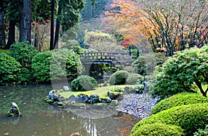 Japanese Garden