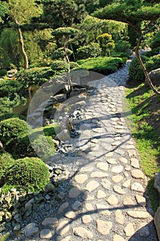 Japanese garden