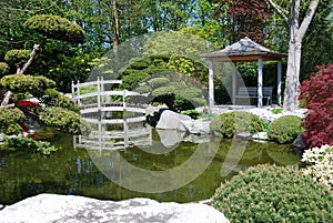 Japanese garden