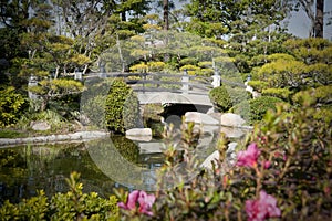 Japanese garden