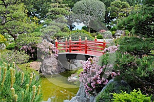 Japanese garden