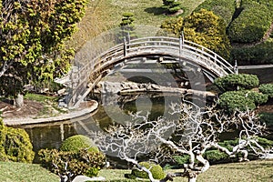 Japanese Garden