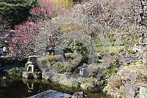 Japanese garden