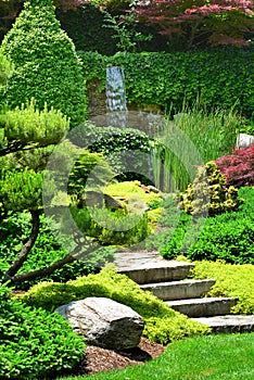 Japanese Garden