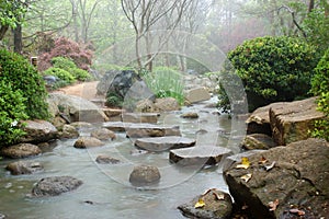 Japanese garden