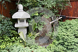 Japanese Garden