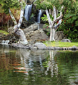 Japanese Garden