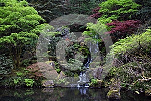 Japanese Garden