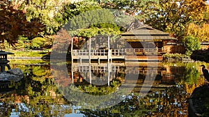 Japanese garden