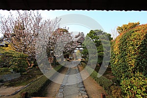 Japanese garden in Arashiyama,Kyoto,Japan