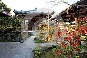 Japanese garden in Arashiyama,Kyoto,Japan photo