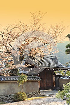 Japanese garden in Arashiyama,Kyoto,Japan photo