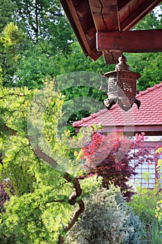 Japanese garden architecture