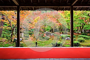 Japanese garden in autumn at Enkoji, Kyoto