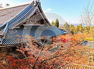 Japanese garden in autumn in Kyoto, Japan.