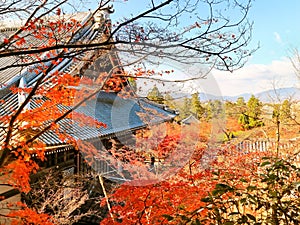 Japanese garden in autumn in Kyoto, Japan.