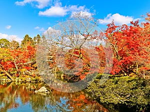 Japanese garden in autumn in Kyoto, Japan.