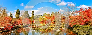 Japanese garden in autumn in Kyoto, Japan.