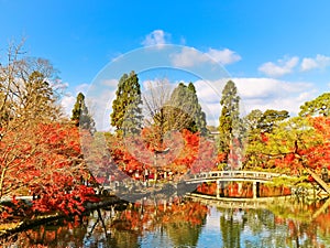 Japanese garden in autumn in Kyoto, Japan.