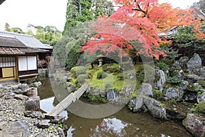 Japanese garden and autumn leaves in Daigoji Temple Sanbo-in, Kyoto, Japan