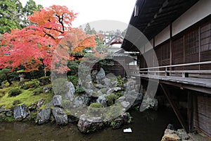 Japanese garden and autumn leaves in Daigoji Temple Sanbo-in, Kyoto, Japan