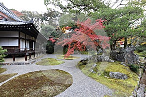 Japanese garden and autumn leaves in Daigoji Temple Sanbo-in, Kyoto, Japan