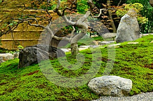 Japanese garden and bamboo wall, Kyoto Japan