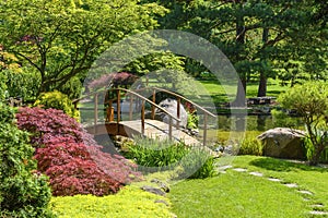 Japanese Garden photo