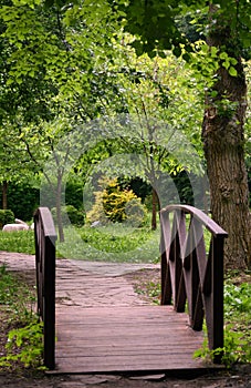 Japanese garden in Birulevsky dendro park in Moscow