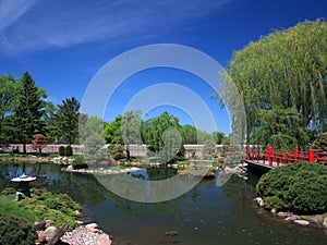 Japanese garden in Bloomington with pond photo