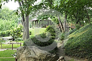 Japanese Garden with the Bridge