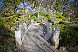 Japanese garden bridge