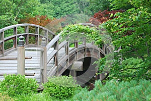 Japanese Garden Bridge