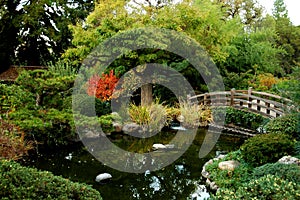 Japanese Garden Bridge