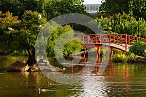 Japanese garden with bridge