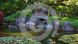 Japanese garden with bridge above a waterfall and pond that is home to Koi